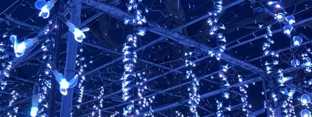 🌙𝕊𝕒𝕪𝕠🌙さんの壁紙画像