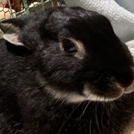 TAMAGOYAKIさんのアイコン画像