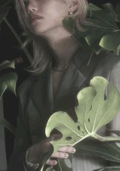 疫　病　王　子