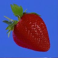 チャリパンクさんのアイコン画像