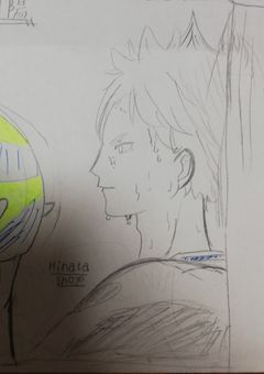 日向翔陽には、誰にも言えない秘密が？