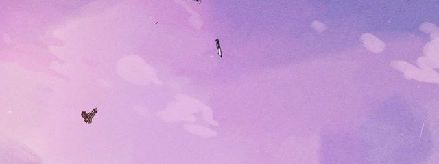 しきた   さんの壁紙画像