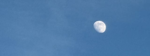 とまとすいにさんの壁紙画像