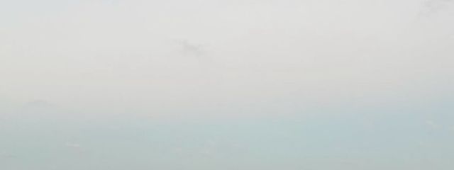 あおさんの壁紙画像