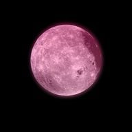 ENFPさんのアイコン画像