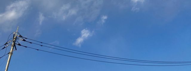 ちょこなつさんの壁紙画像