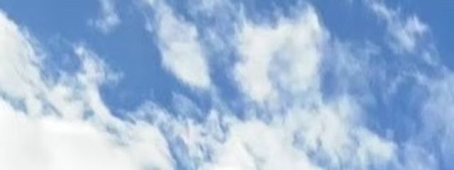 なつめ　フォロバ100  微低浮上　３日に一回は来たいさんの壁紙画像