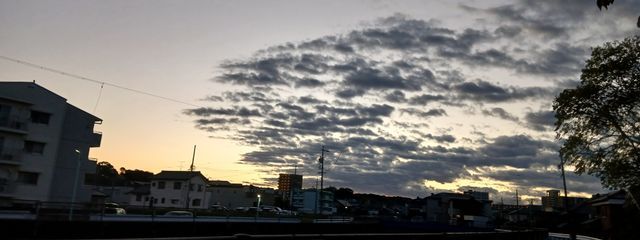 喰さんの壁紙画像