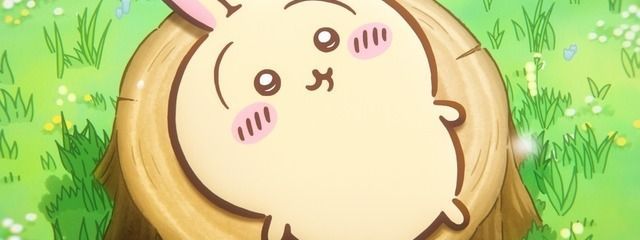 ぶりゅれさんの壁紙画像