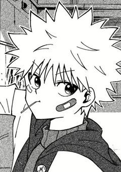 ︎ ︎# ゾルディック家のメイド様