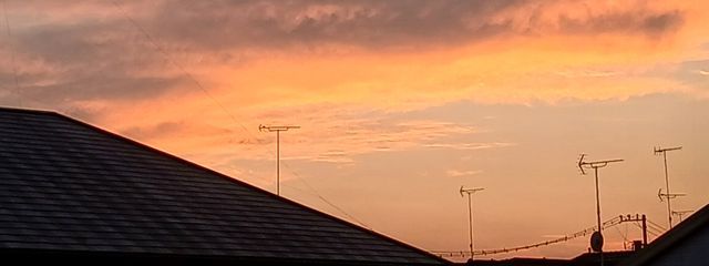 うさみそさんの壁紙画像