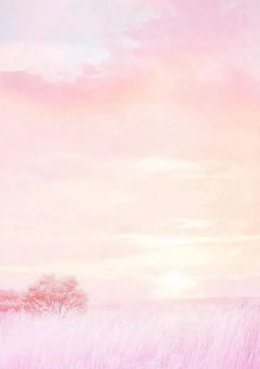 やばい人達に溺愛されてます