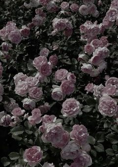 気付いたらメンバーに愛されてました