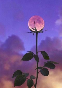 仲良し三人組、ハブられてると思っていたら…？