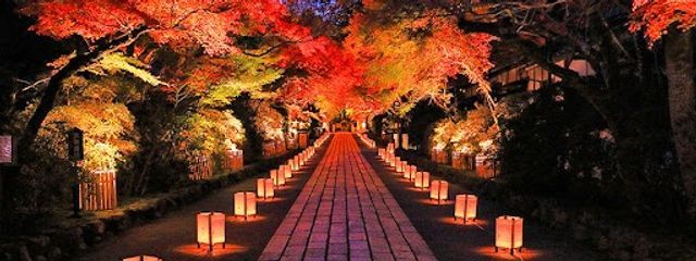 紫式部さんの壁紙画像