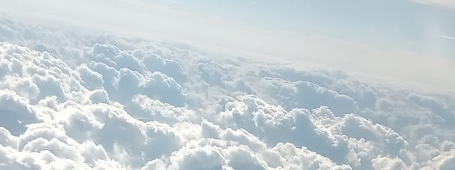 ききょう:mukuさんの壁紙画像