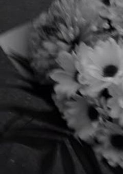 >>　︵　仕様書