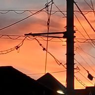 ひまじんさんのアイコン画像