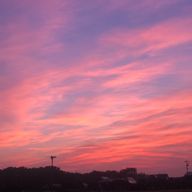 s9_msy1さんのアイコン画像