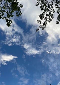 イラストコンテスト!