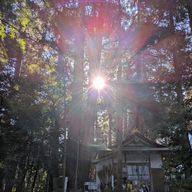 lingoさんのアイコン画像