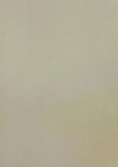 あの夏が飽和する｡＿