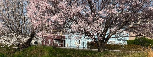 くゆろさんの壁紙画像