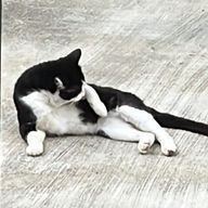 くゆろさんのアイコン画像