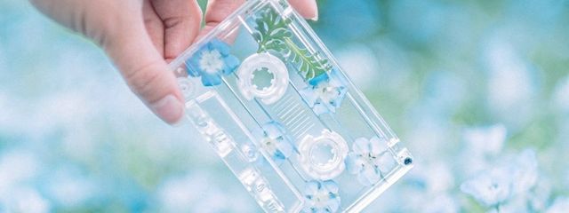 心月さんの壁紙画像