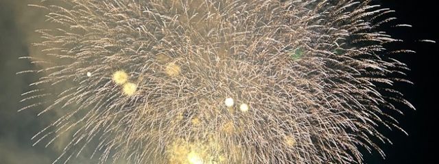 ミサトさんの壁紙画像