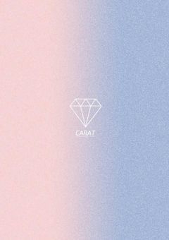 SEVENTEENのマンネ溺愛されてます