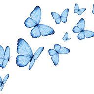 猫丸さんのアイコン画像