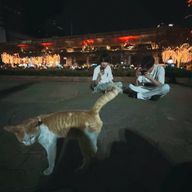 ★さんのアイコン画像