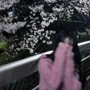 (なまえ)