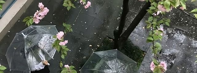 えみ♡さんの壁紙画像