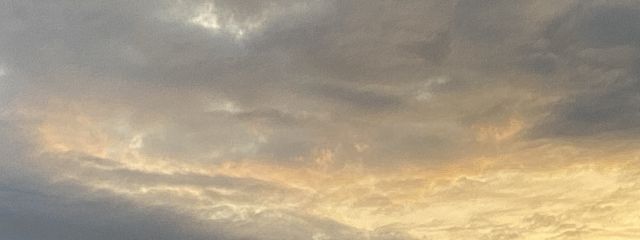 すうさんの壁紙画像