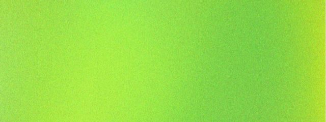 PINOさんの壁紙画像