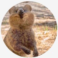 PINOさんのアイコン画像