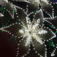 ウォルさんのアイコン画像