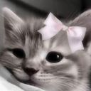 猫化