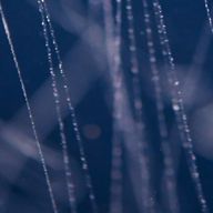 そらさんのアイコン画像