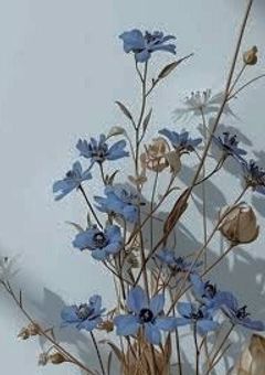 それでも僕らはここで生き、✗を願う.