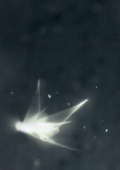 優等生の仮面の下で。