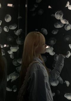 KEY TO LIT になりました