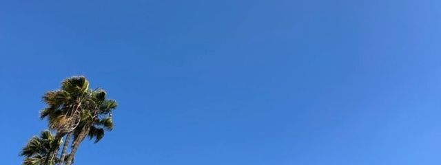 おちゅぴちゅさんの壁紙画像