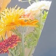 桜湖さんのアイコン画像