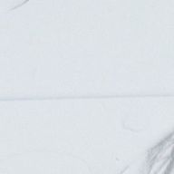なのかですさんのアイコン画像