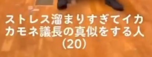 芝与さんの壁紙画像