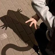 Maoさんのアイコン画像