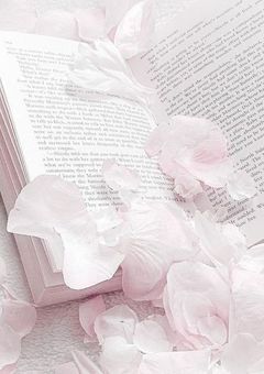 　✧ 魔法の本屋･珊瑚